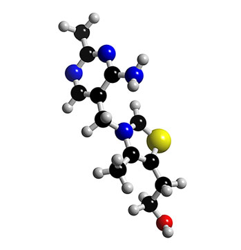 Tiamina - Vitamina B1